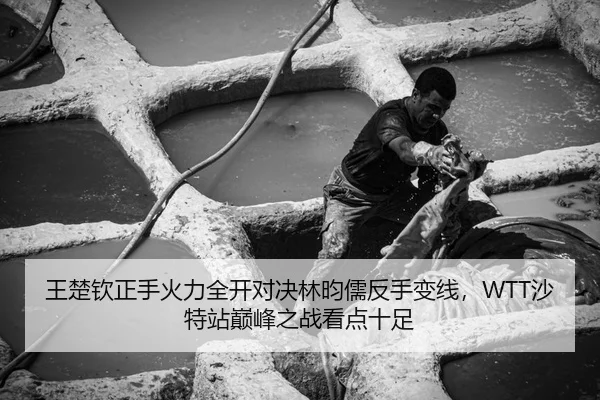 王楚钦正手火力全开对决林昀儒反手变线，WTT沙特站巅峰之战看点十足