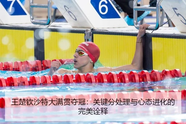 wang-chu-qin-sha-te-da-man-guan-duo-guan-guan-jian-fen-chu-li-yu-xin-tai-jin-hua-de-wan-mei-quan-shi-3-287.jpg