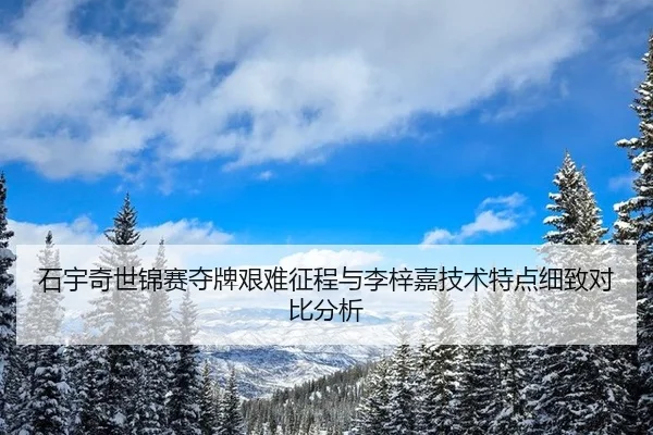 石宇奇世锦赛夺牌艰难征程与李梓嘉技术特点细致对比分析
