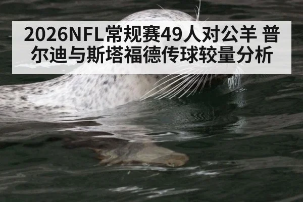 2026NFL常规赛49人对公羊 普尔迪与斯塔福德传球较量分析